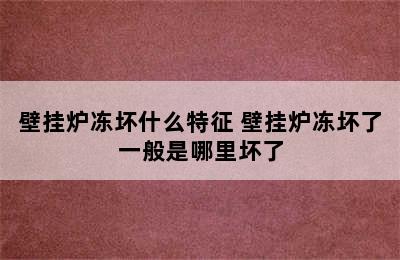 壁挂炉冻坏什么特征 壁挂炉冻坏了一般是哪里坏了